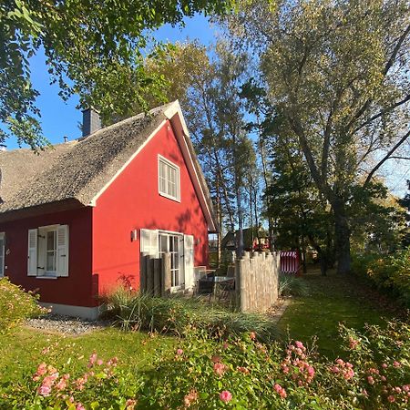 Ferienhaus Stella Glowe Εξωτερικό φωτογραφία