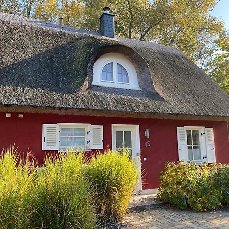 Ferienhaus Stella Glowe Εξωτερικό φωτογραφία